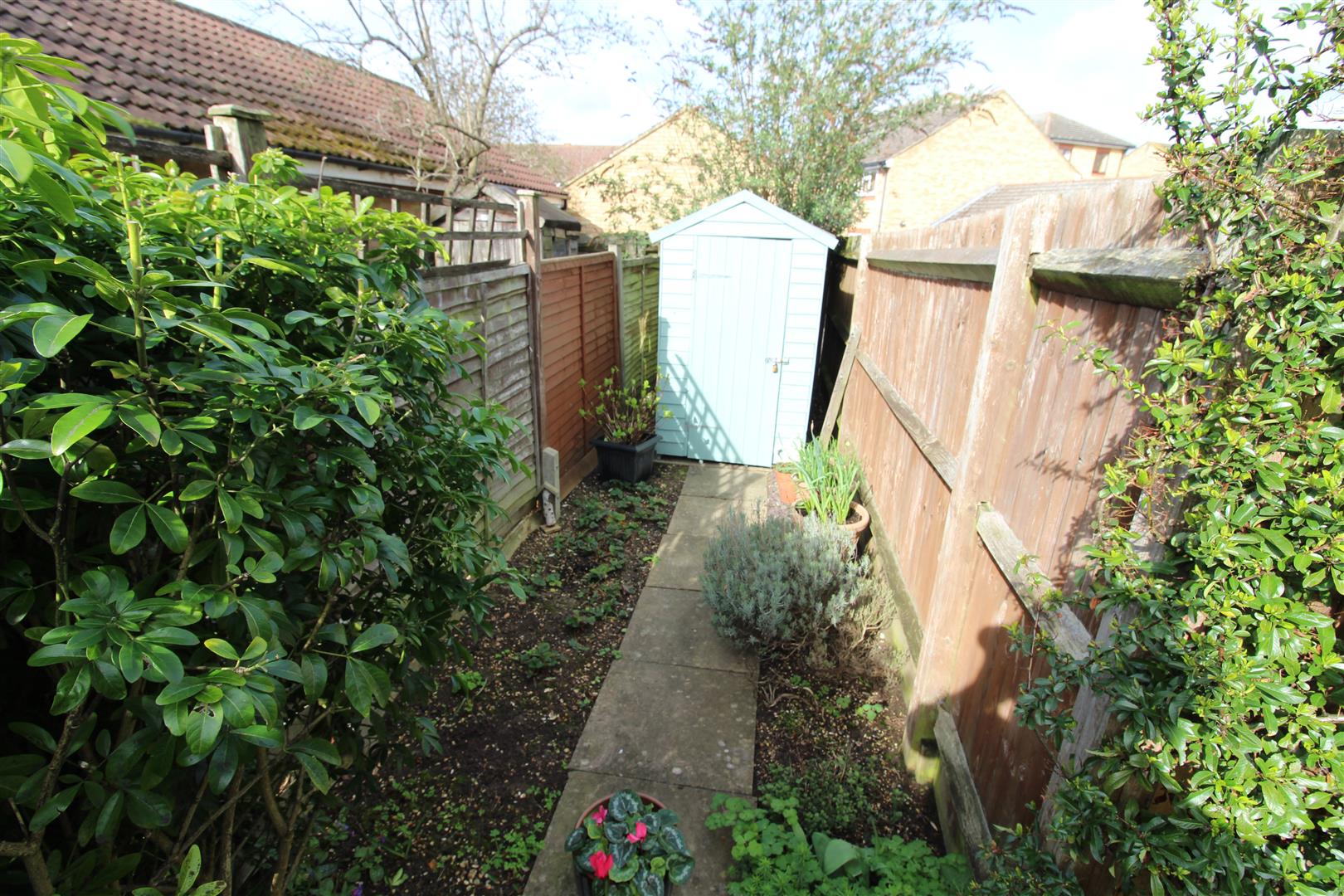 Tamarin Gardens, Cambridge image 12